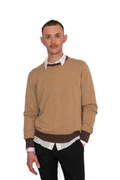 Maglione girocollo 100% cashmere